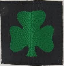 Irish Regiment Genuine Helmet Tropical TRF DZ Badges
