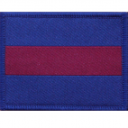 British Army Genuine Brigade of Guards shoulder TRF flash Badge