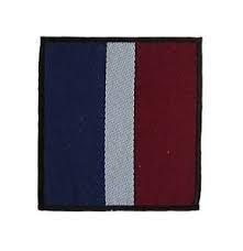 British Military - RAF Royal Air Force Regimental Tactical Recognition Flash Badge