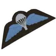 British Army Genuine Used Para Wings Badge