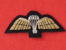 British Army Parachute Wings Mess Dress Gold on Black Badge