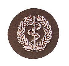 British Army Genuine First Aid Instuctor and Regimental Medical No2 Dress Badge