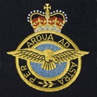 British Military Genuine New - Royal Air force RAF Blazer Badge