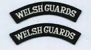 British Military Genuine  Welsh Guards Shoulder Title Badges - A pair