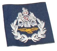 British Military Royal Air Force Master Aircrew Epaulette Badge