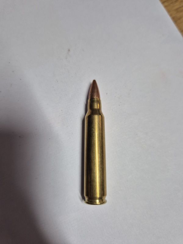 Genuine Ex Military Brass Bullet Shells Display Only x5 Genuine Ex Military Brass Bullet Shells Display Only x5