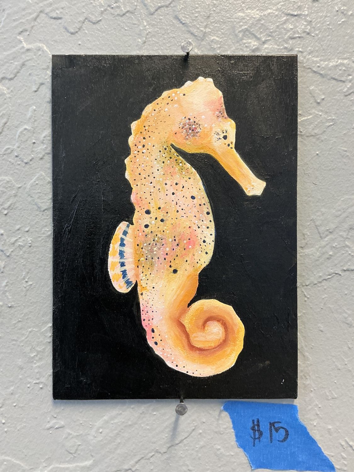 Lil Seahorse