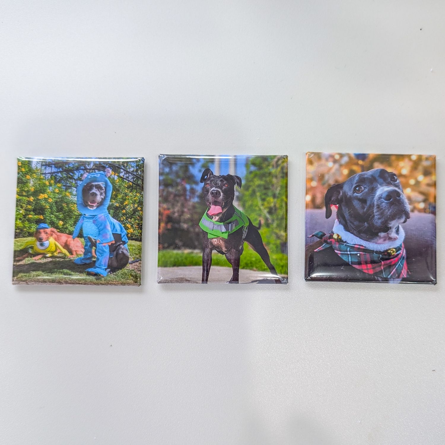 Set of 3 customised photo magnets