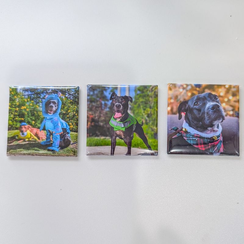 Set of 3 customised photo magnets