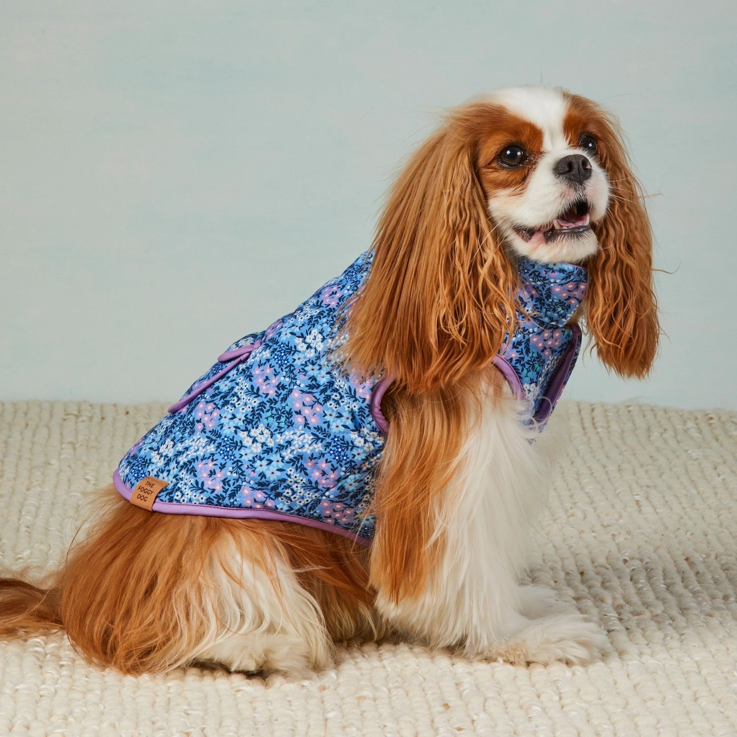 The Foggy Dog Mini Meadow Reversible Dog Jacket
