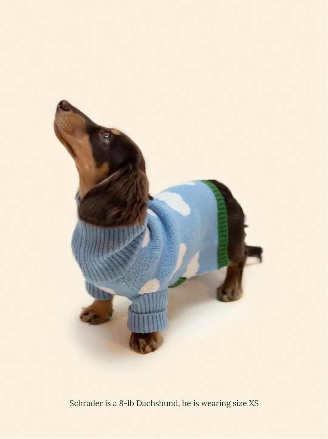 Little Beast Silver Linings Sweater