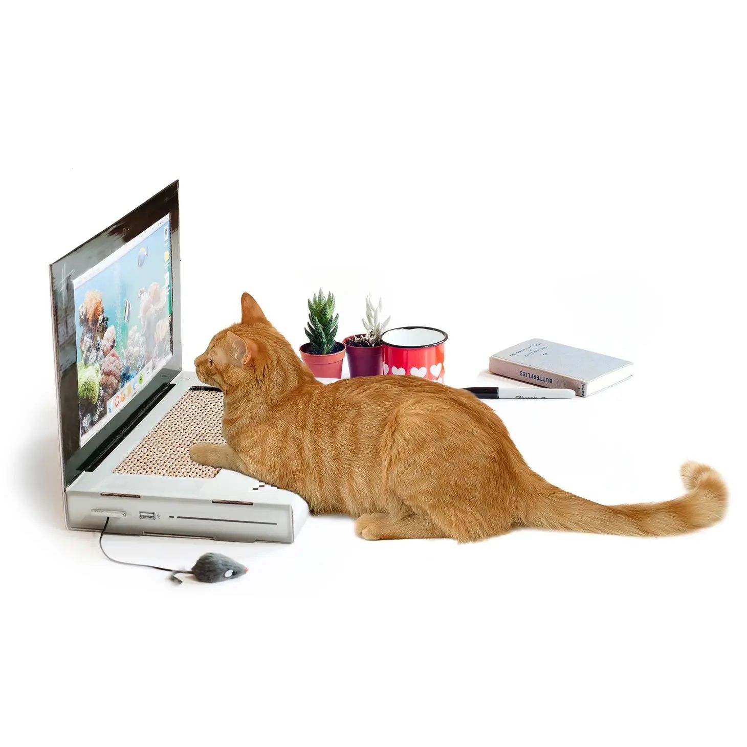 Cat Laptop Scratcher