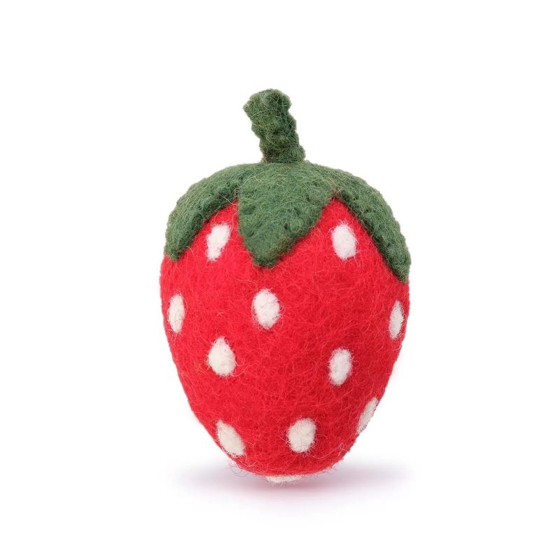Lily and Oliver&#39;s FD Strawberry CAT Toy