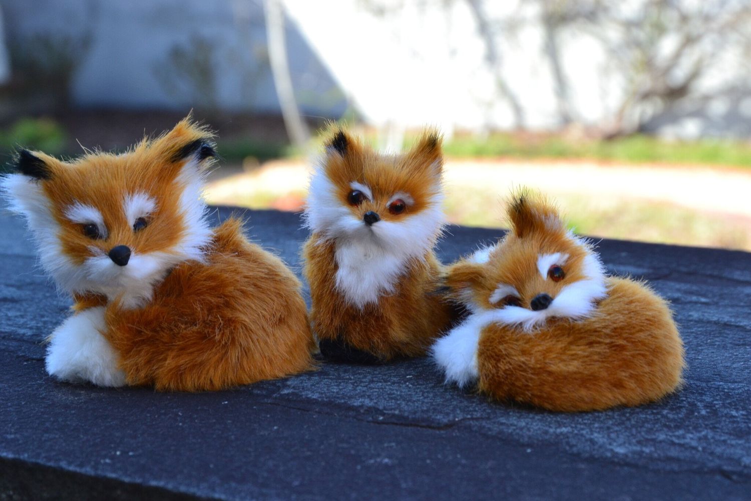 LSK Little Fox