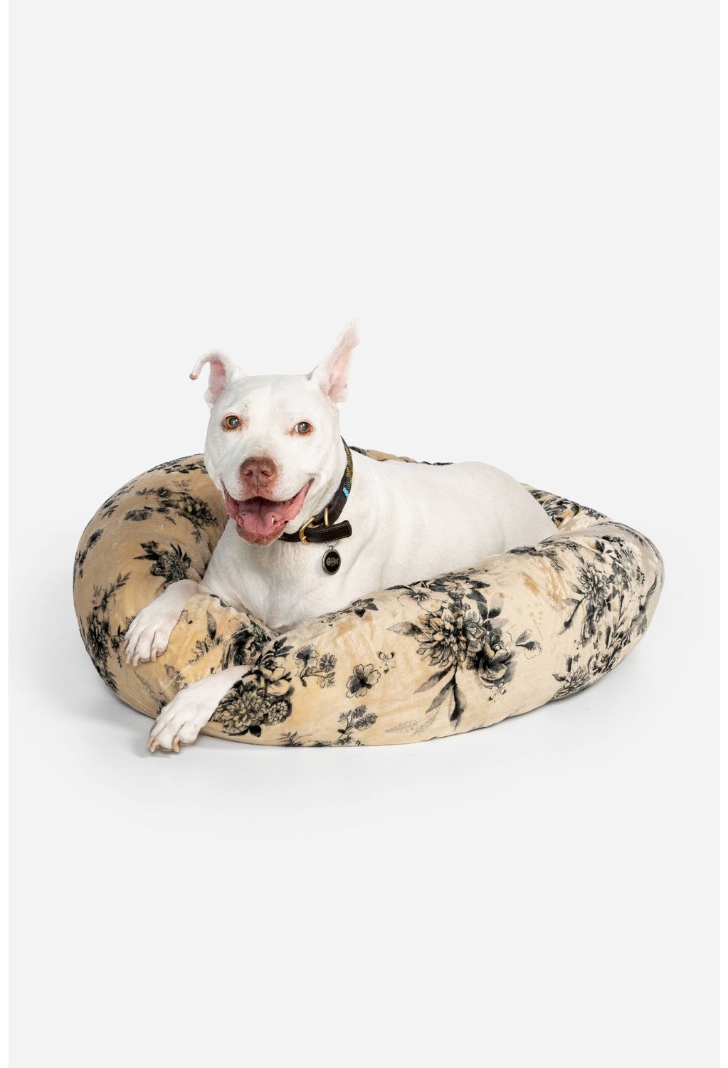 Johnny Was Dog Bed LARGE