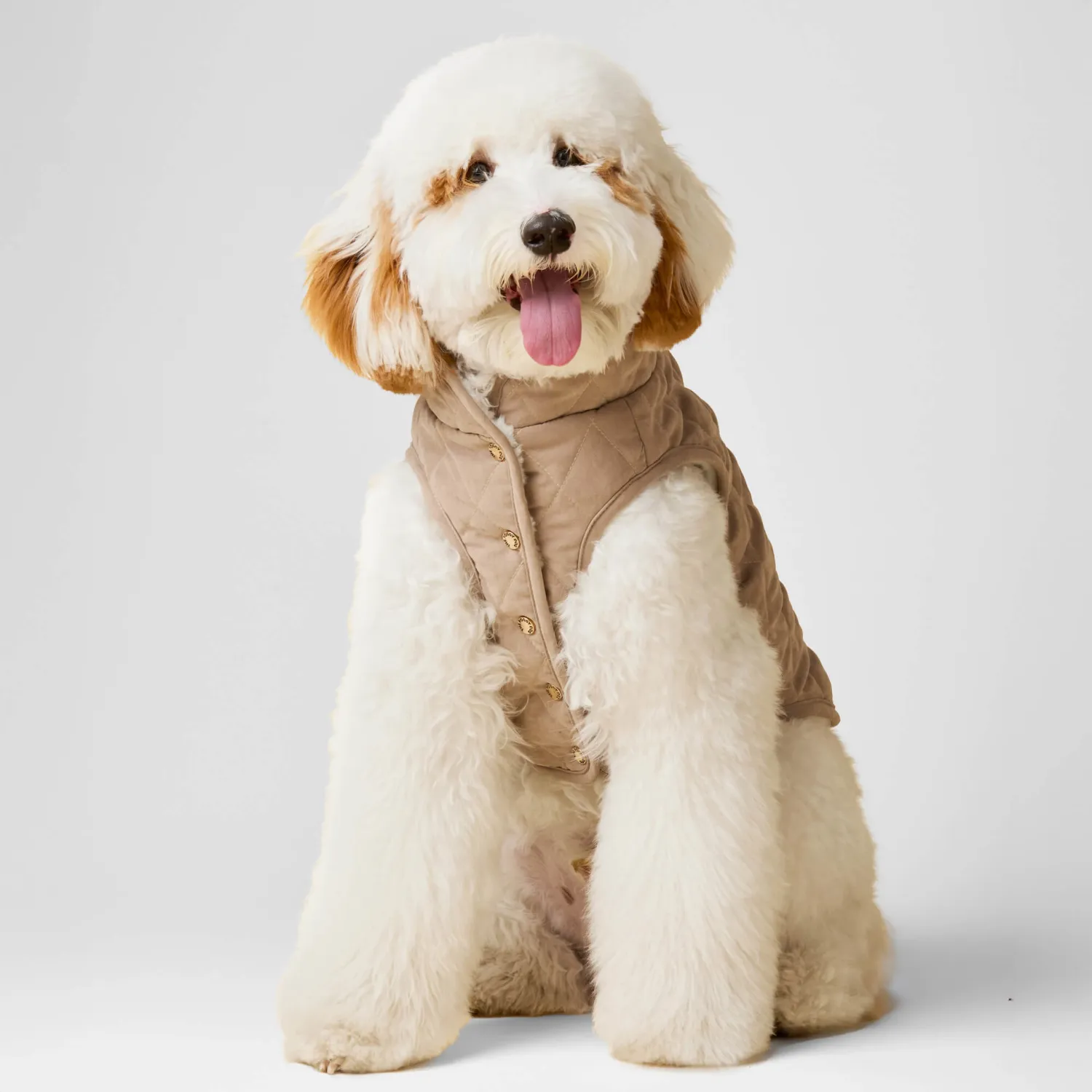 The Foggy Dog Fawn Sherpa-Lined Reversible Dog Jacket