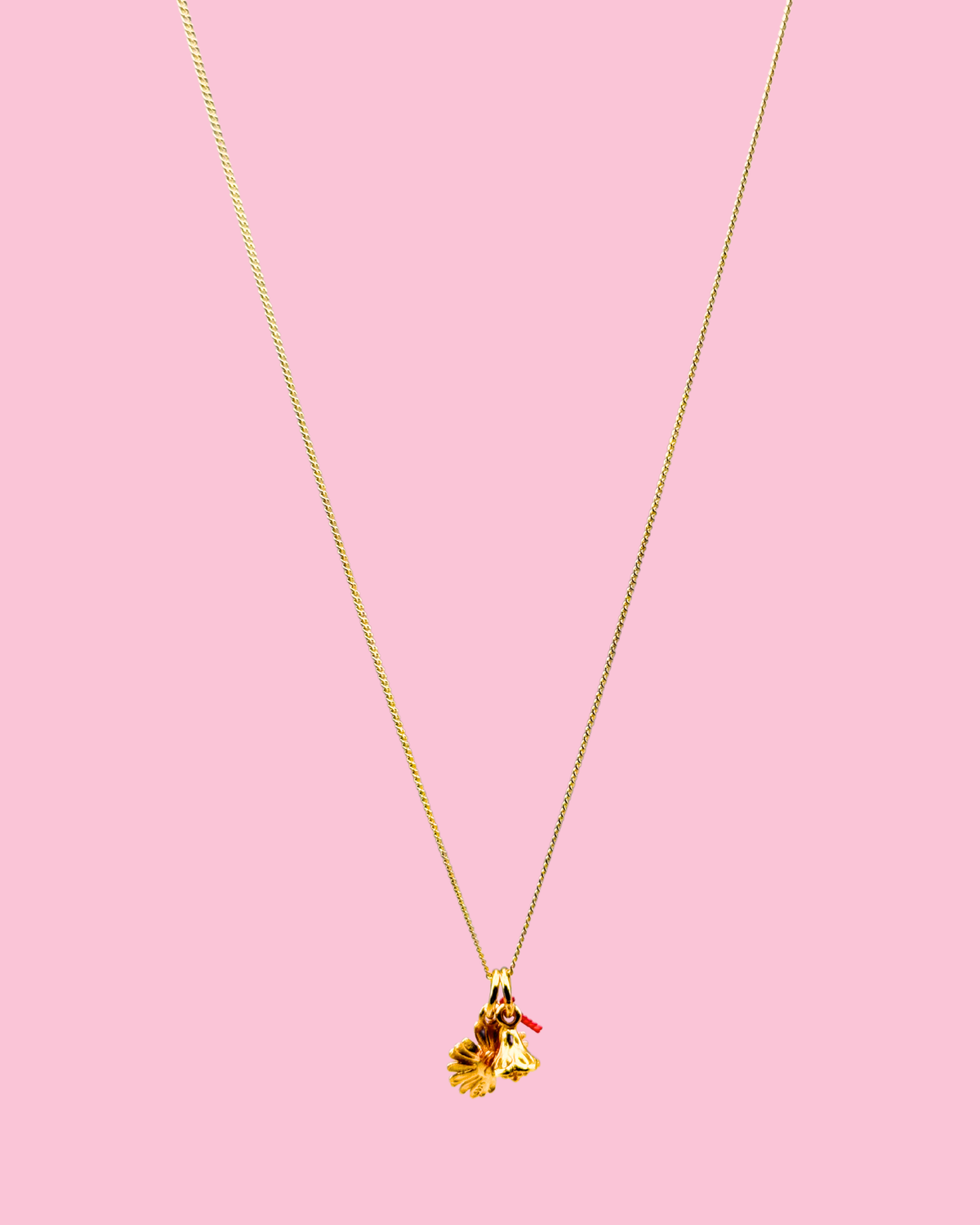 flower blossom no.2