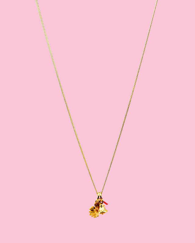 flower blossom no.2