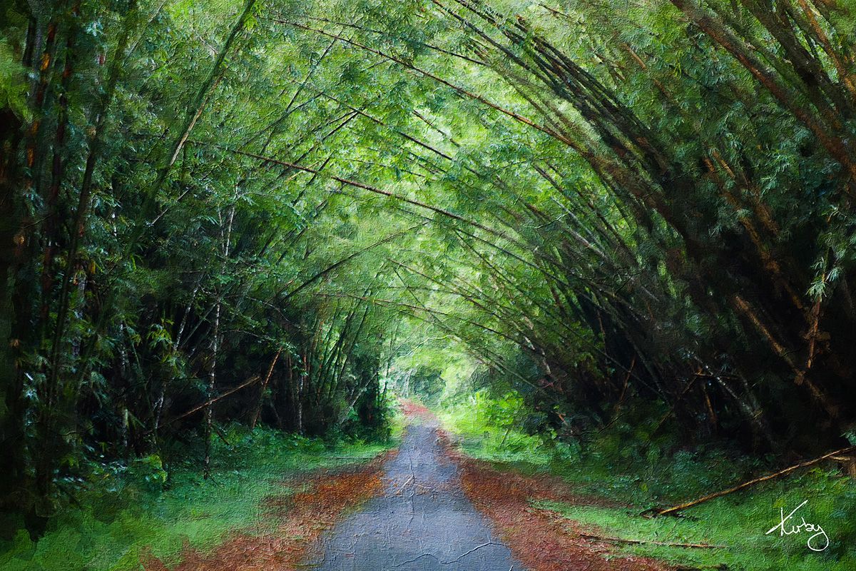 Bamboo Cathedral