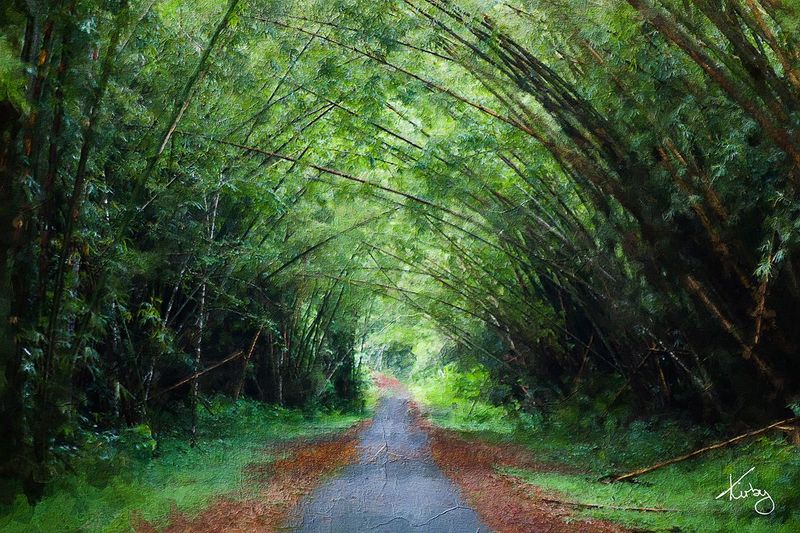 Bamboo Cathedral