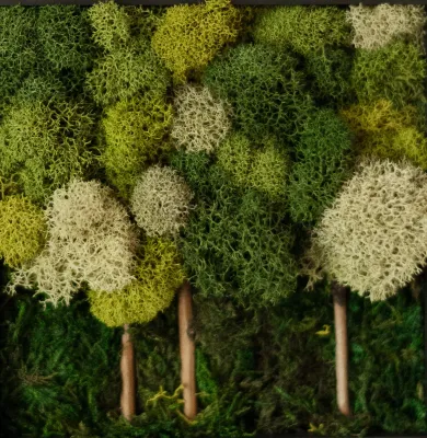 Solid Moss Co. Multi-green Forest