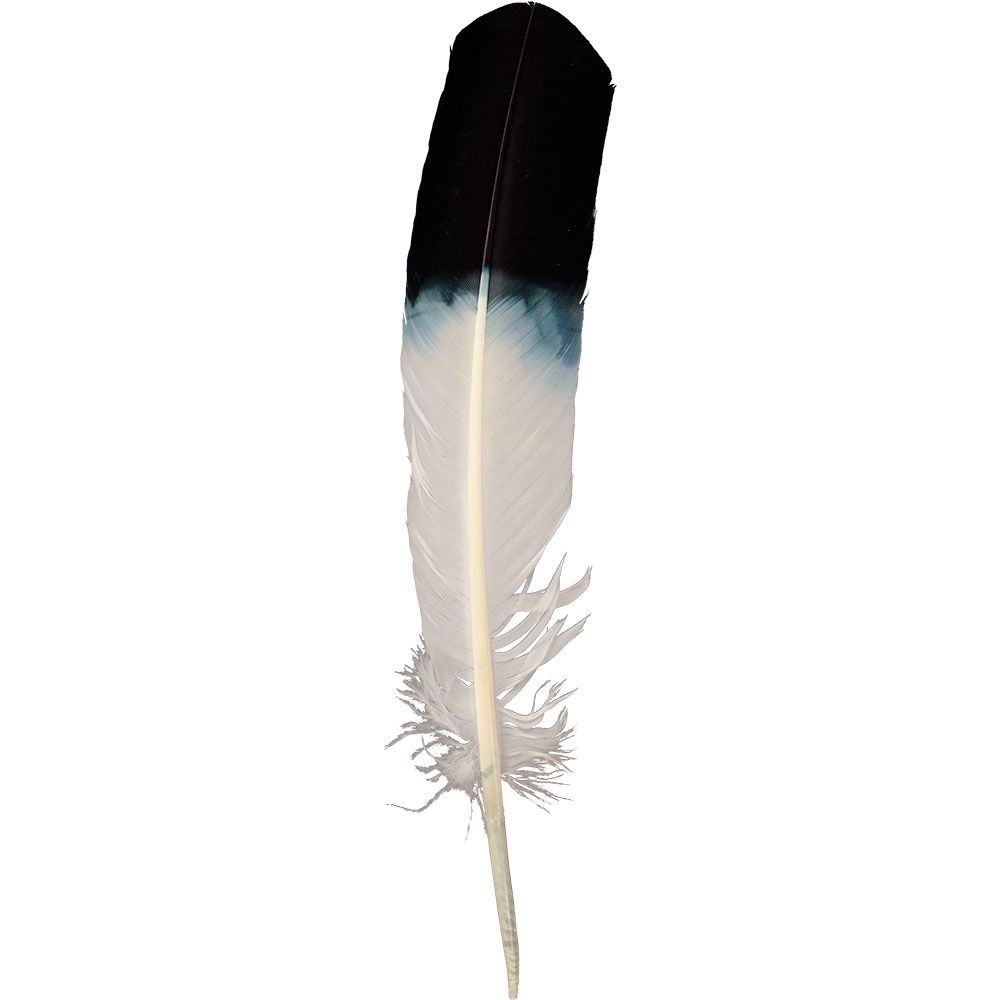 8 &quot;-12&quot; Smudging Feather Eagle Imitation