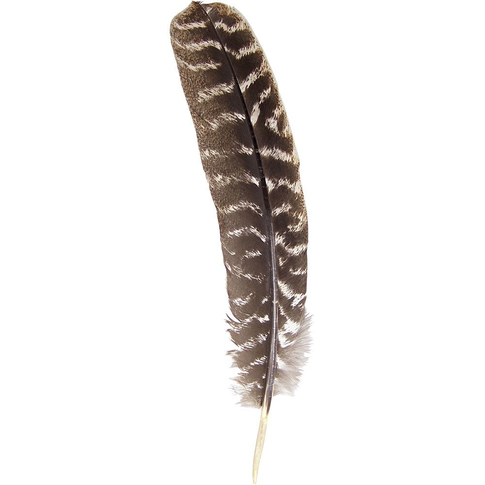 8&quot;-14&quot; Smudging Feather