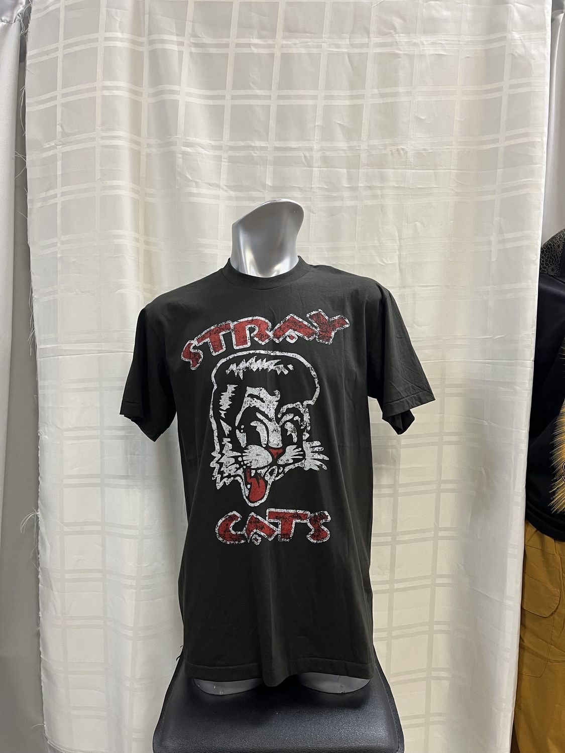 Stray Cats – TH