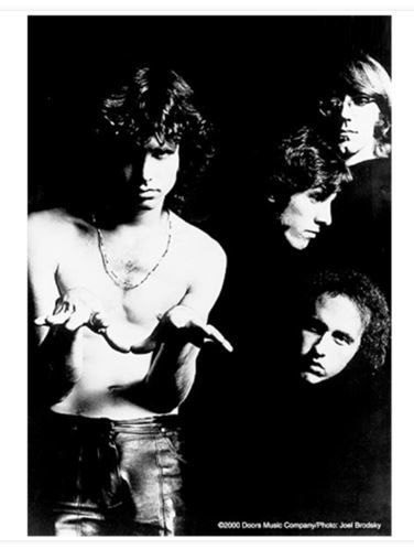 HFL0285 The Doors Flag