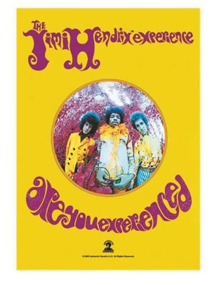 Jimi Hendrix - Are You Experienced Flag