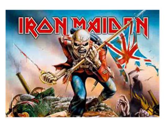 HFL0663 Iron Maiden Flag
