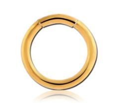 16g Gold Plated Segment Hoop