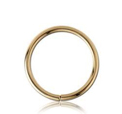 18g Zircon Gold 8mm Bendable Hoop