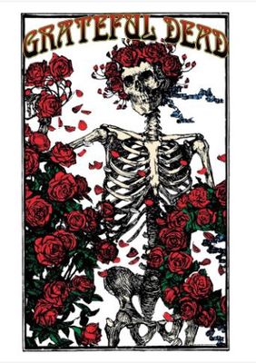 RZ287 Grateful Dead Premium Flag