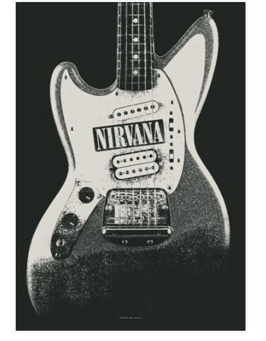 HFL0963 Nirvana Flag