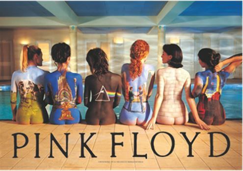 HFL0866 Pink Floyd Flag