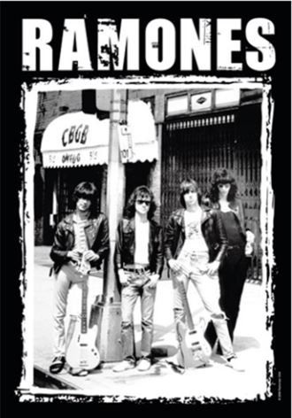 HFL0768 Ramones CBGB Photo Flag