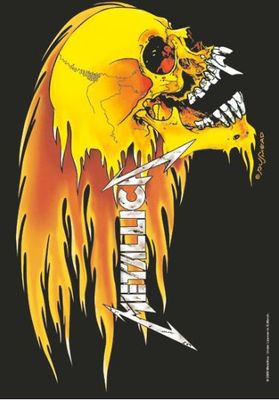 Metallica - Flaming Skull Flag