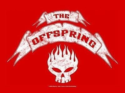HFL0586 The Offspring Flag