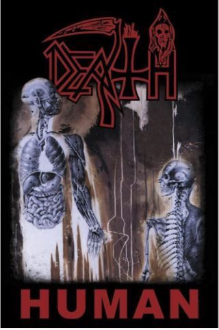 RZ035 Death Premium Flag