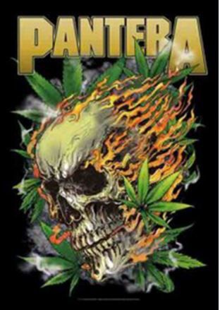 HFL1091 Pantera Flag