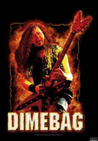 HFL1132 Dimebag Darrell Flag