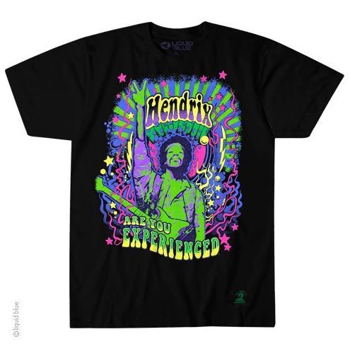 Jimi Hendrix Are You Experienced