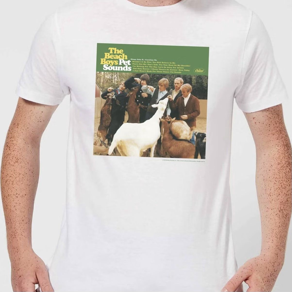 Beach Boys, The – PE