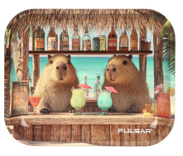 13&quot;x11&quot; - Capybara Cabana Tray