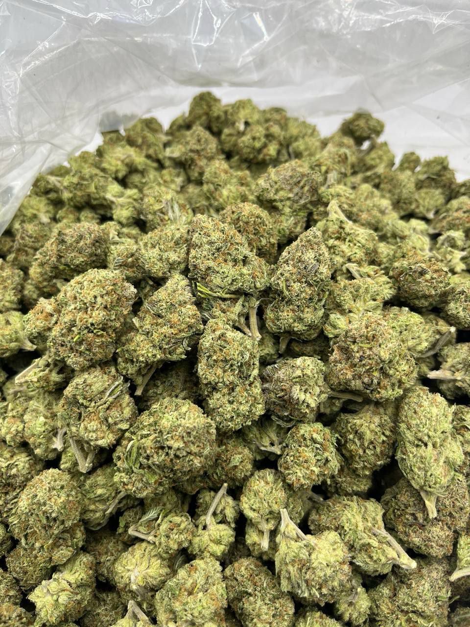 Ice Breaker ⭐️