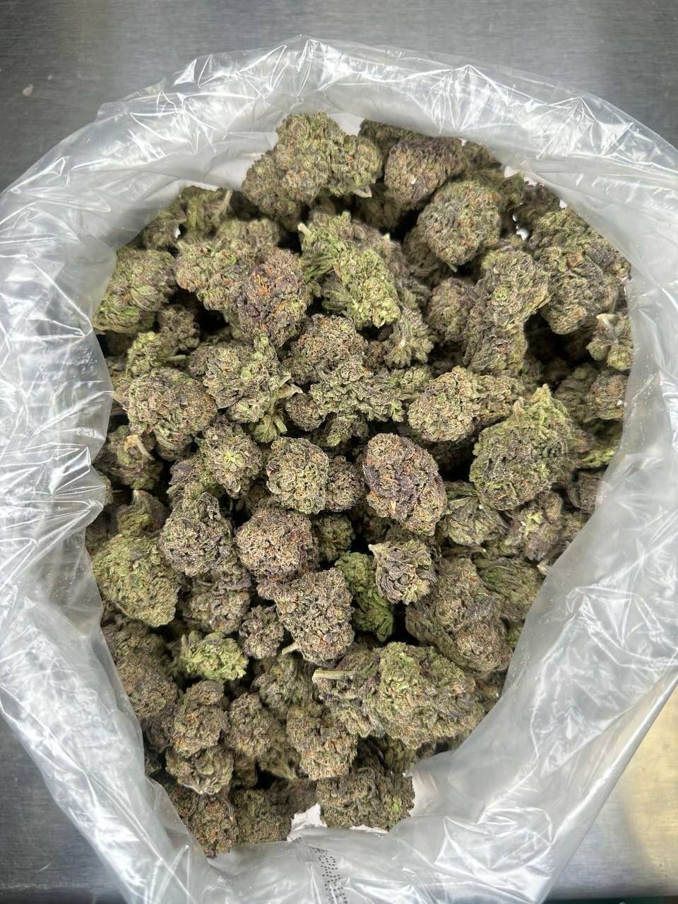 Gelato King