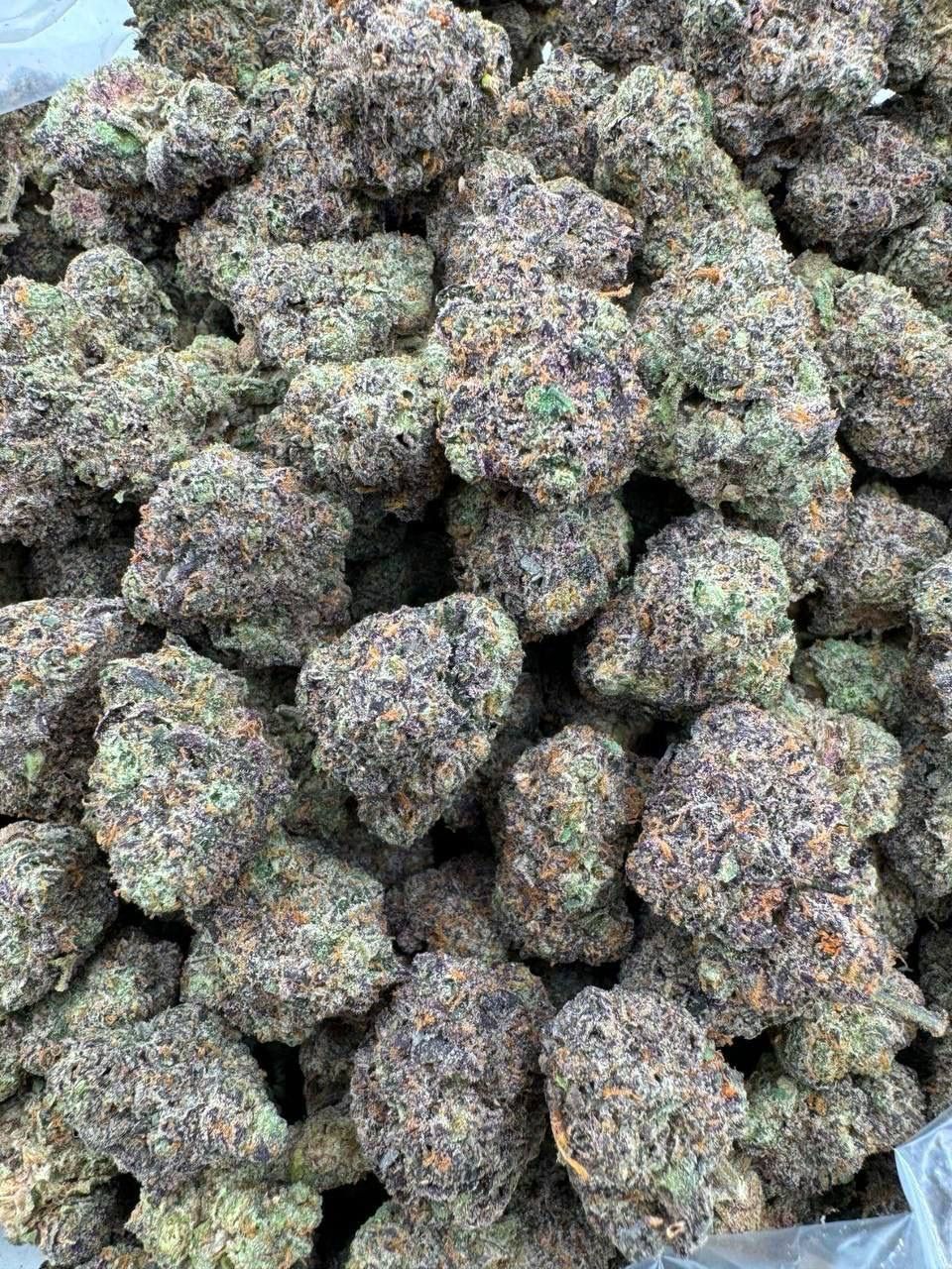 🍭 Hood Candy x Zoap 🧼 zaza