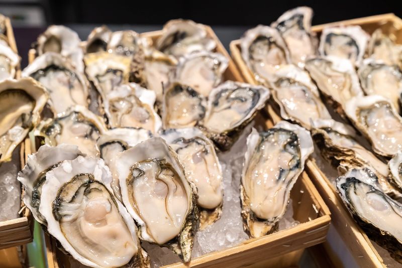 Oysters