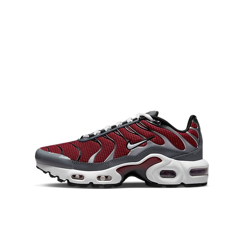 Air Max Plus Retro running shoes